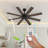Ceiling Fan
