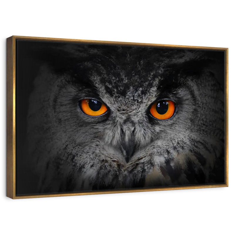 Hibou gris envoûtant, 46 po x 31 po, Cadre flottant doré