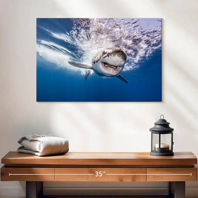 Brampt Happy Shark, 16'' H x 24'' W