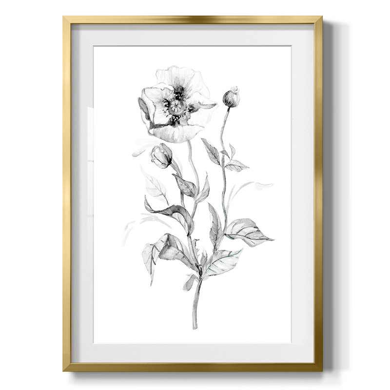 Lys -Gallery Wrapped Canvas