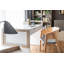 Dristan Leaning / Ladder Desk
