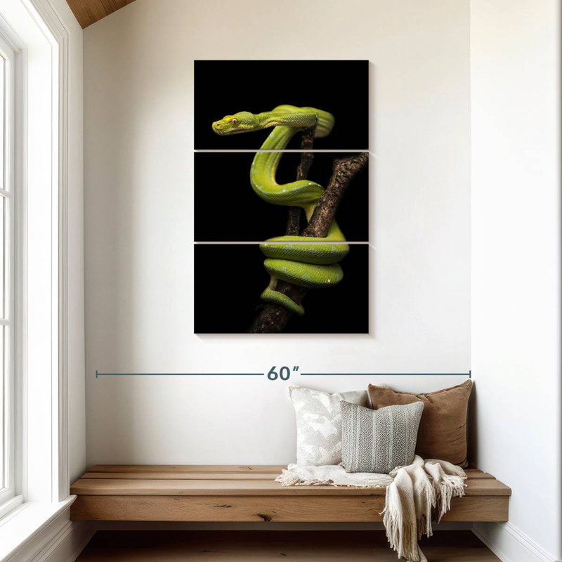 Python Brampt enroulé autour d'une branche, H 45 po x l 28 po