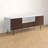 Aneurin TV Stand for TVs up to 65"-2084576796