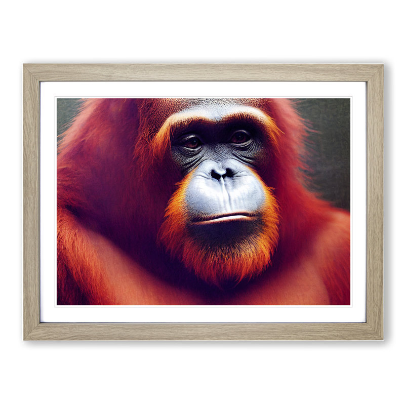 The Calming Orangutan - Framed Print, 25cm H x 34cm W x 2cm D, Oak