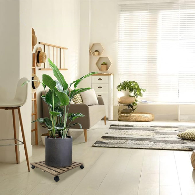 Support pour plante Stelu, Naturel, H 3 po x l 20 po x P 20 po