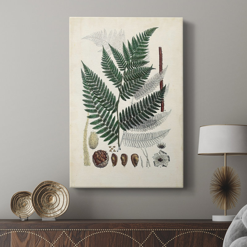 Collectionner Ferns IV - galerie sur mesure, H 18 po x l 12 po