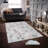 Stylish Woven Carpet (4 x 6 ft), 100% Polyester, 0.4 in Pile Height | Antibacterial, Non-Slip Underside | Machine Washable, 3D Digital Printing | Perfect for Living Room, Bedroom, and Home Decor-534010468