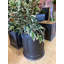 Hoye Fiberglass Planter