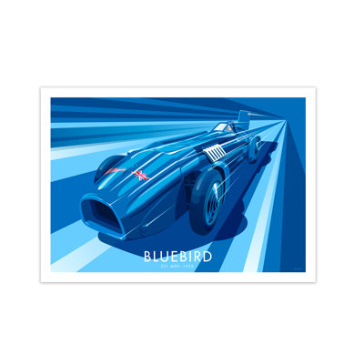 Bluebird by Stephen Millership - Print