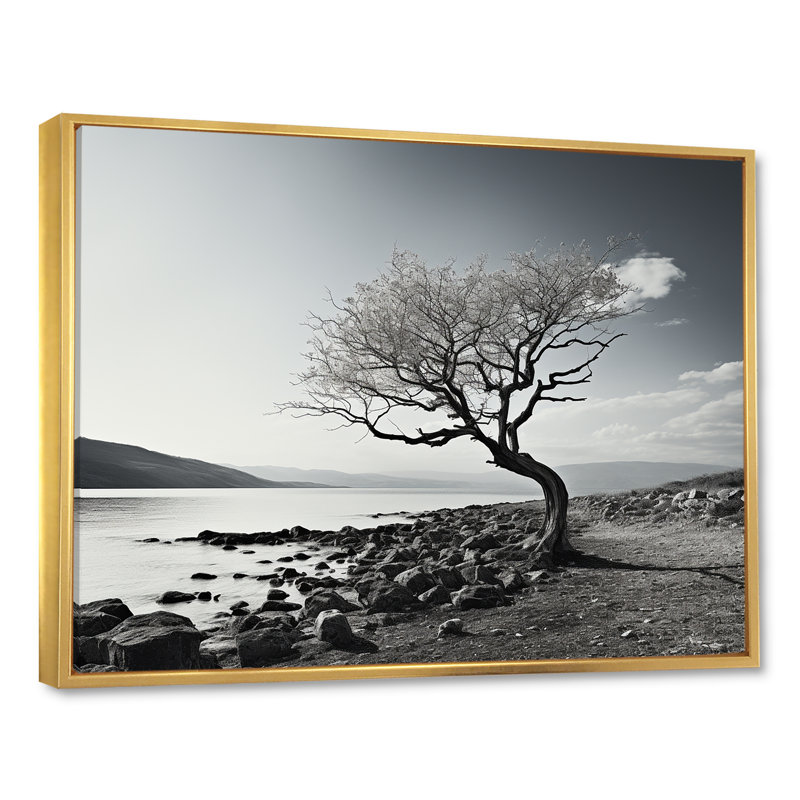 Magnifique arbre en noir et blanc, photographie de lac - art mural lac, Cadre flottant doré, H 16 po x l 32 po x P 1 po