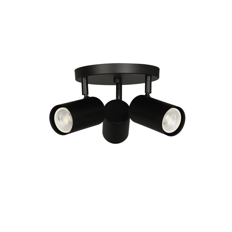 Éclairage sur rail 3 lumières Taylor, Noir mat