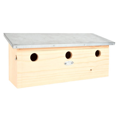 Sparrow Flat Horizontal