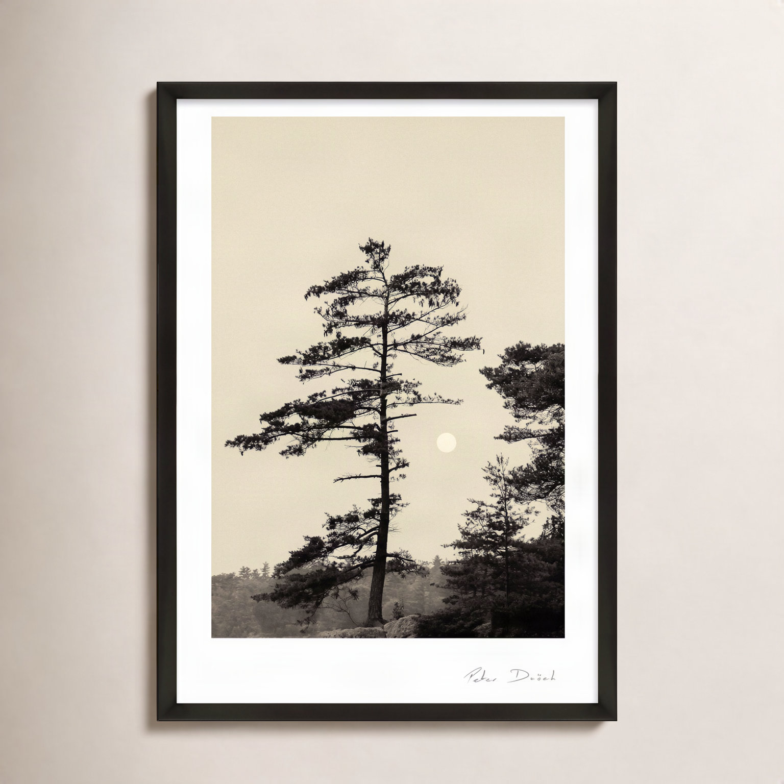 Garden Sign "Serenity" Print by Peter Dušek, Black, 25" H x 17.5" W x 1.25" D