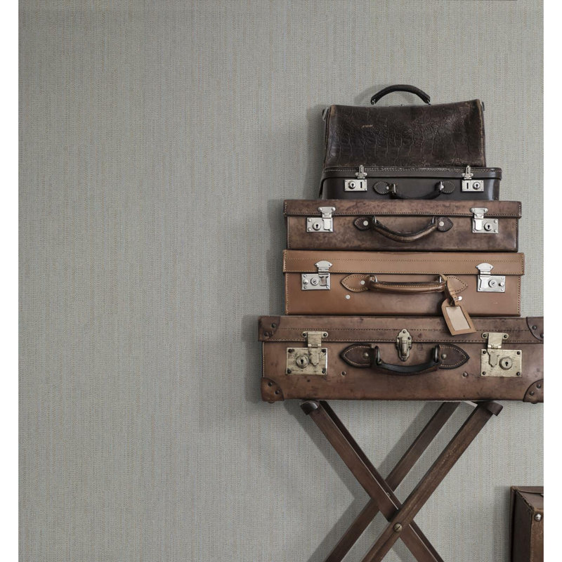 Rouleau de papier peint lisse L 33 pi x l 27,5 po, Gris