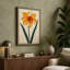 Daffodil Study Botanical - Wrapped Canvas-260314646-260314642