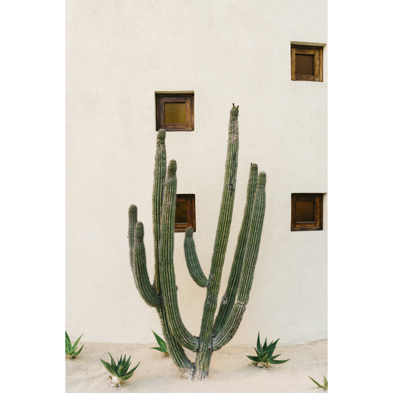 Wrapped Canvas Print, 76.2 cm H x 50.8 cm W