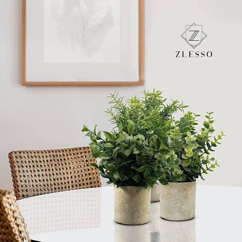 25cm Bamboo Plant
