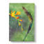 Hummingbird - Wrapped Canvas-61853867