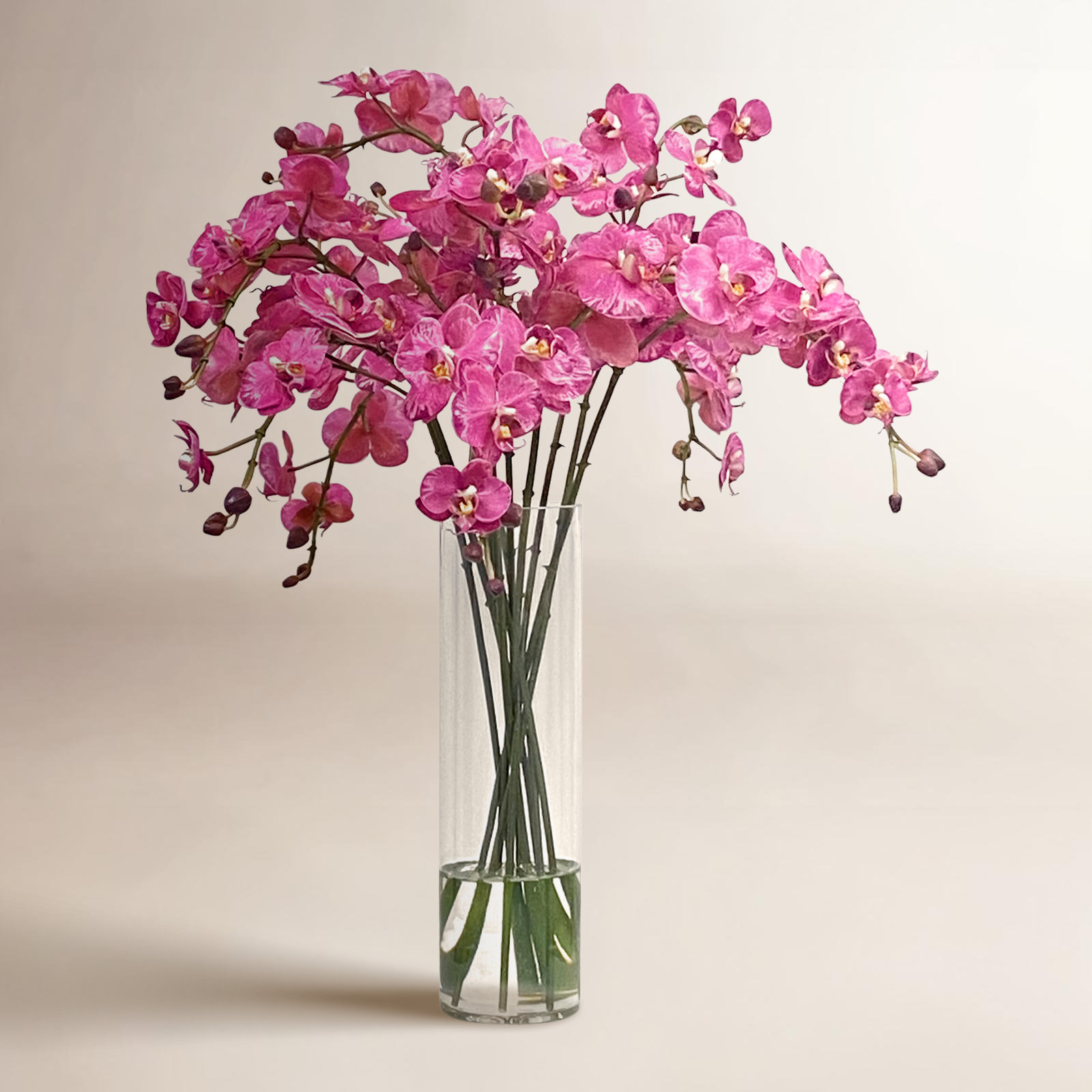 Winward Home Orchid Floral Arrangement