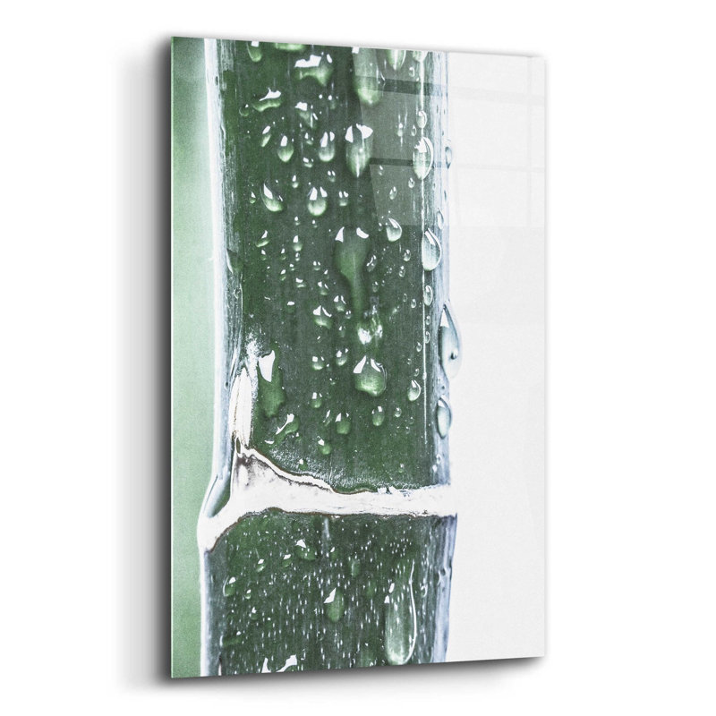 Brayden Studio® 'Close Up V' By Incado, Acrylic Glass Wall Art, 12"X16", H 24 po x l 16 po x P 0,2 po