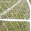 Freeport Park Don Plastic Football Net-1419670964