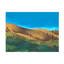 Bolognaise "Golden Hillsides I" sur toile-98248495