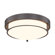 Massaro 12 Inch 2-Light Simple Circle Flush Mount