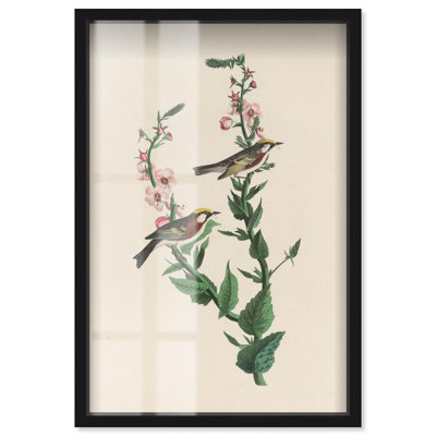 «Chestnut Streak Shadowbox», reproduction d'art botanique par Art Remedy