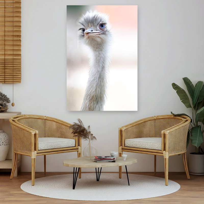 Blue-Eyed Rhea Contemporary Bird Wall Art Print by Fulvio Pellegrini - Wrapped Canvas Print, 152.4cm H x 101.6cm W