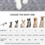Kaden Pet Bed