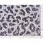 Tapis d'intérieur / extérieur brun / gris à imprimé animal Munguia-77912988