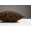 Wild Glamour Lumbar Pillow Cover & Insert-101841921-101841922-101841917