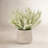 Ferdinand Heather Arrangement in Pot-28784520