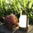 Ranjan USB Table Lamp-43177730