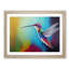 Colourful Hummingbird Vol.2 - Print-1992332027-1992334828