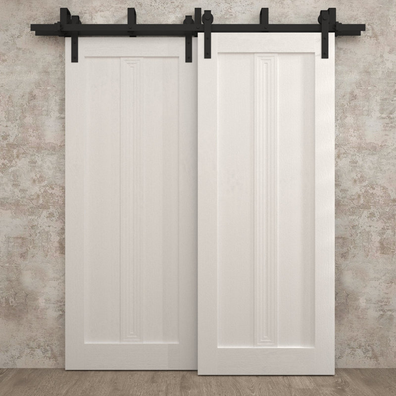 Portes coulissantes de grange coulissantes pour garde-robe | Ego 5006 | Ensemble de quincaillerie Modern Rails | Portes de garde-robe de chambre en bois massif