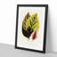 Assortment of Leaves - Picture Frame Painting Print-55686776-55686777