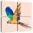 Brampt Macaw Parrot Flying