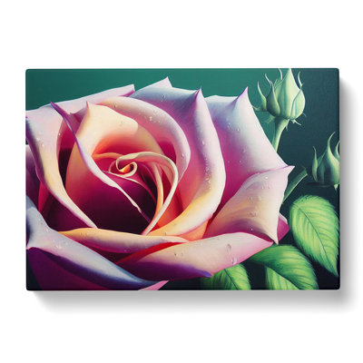 Exceptional Rose Flower - Wrapped Canvas