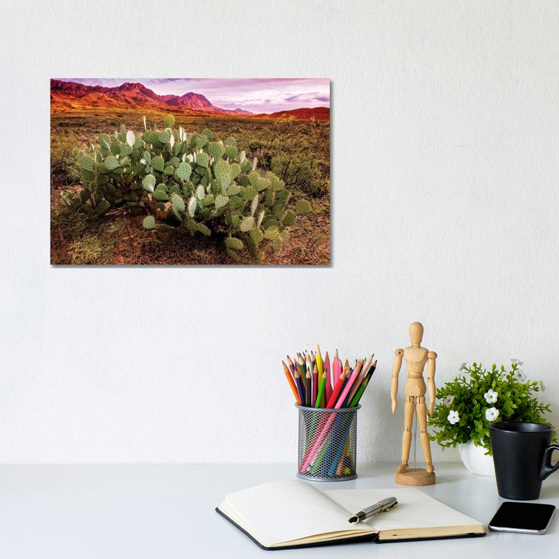 Chisos Mountains With Prickly Pear Cactus I by Susanne Kremer - Wrapped Canvas Gallery-Wrapped Canvas Giclée