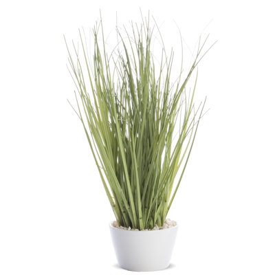 Faux Evergreen Grass in Pot