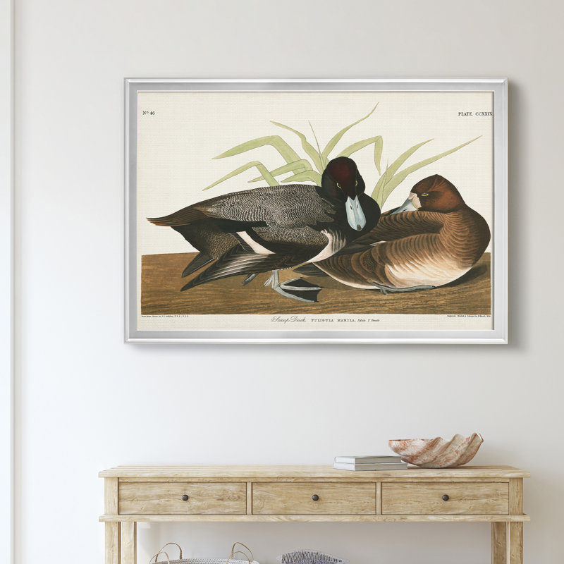 " Scaup Duck ", Silver, 22" H x 30" W x 1" D