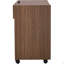 Enceinte de litière pour chat 2 en 1, table d'appoint avec rangement, armoire latérale pour buffet
