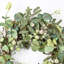 18" Farmhouse Artificial Spring Summer Eucalyptus Berry Front Door Wreath