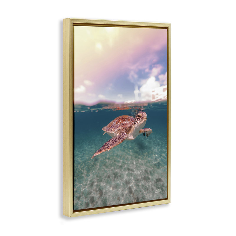 Toile flottante «Above & Dessous Sea Turtle» par Max Blakesberg Studios, Cadre flottant métallique doré, H 31 po x l 21 po