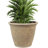 Blough 24" x 24" x 20" Round Polyresin Outdoor Planter Pot - Beige-1821674384-1630842323-1821674389