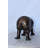 Ilmars Relaxed Rhino bronze statue -  Size: 16"L x 9"W x 8"H.