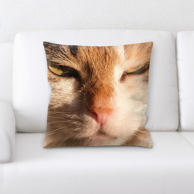 Cat Throw Pillow