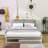 Wilhelmi Metal Platform Bed Frame with Trundle and USB Ports-1270646385-1270646391