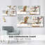 Egyptian Chariots I-Gallery Wrapped Canvas-762803401